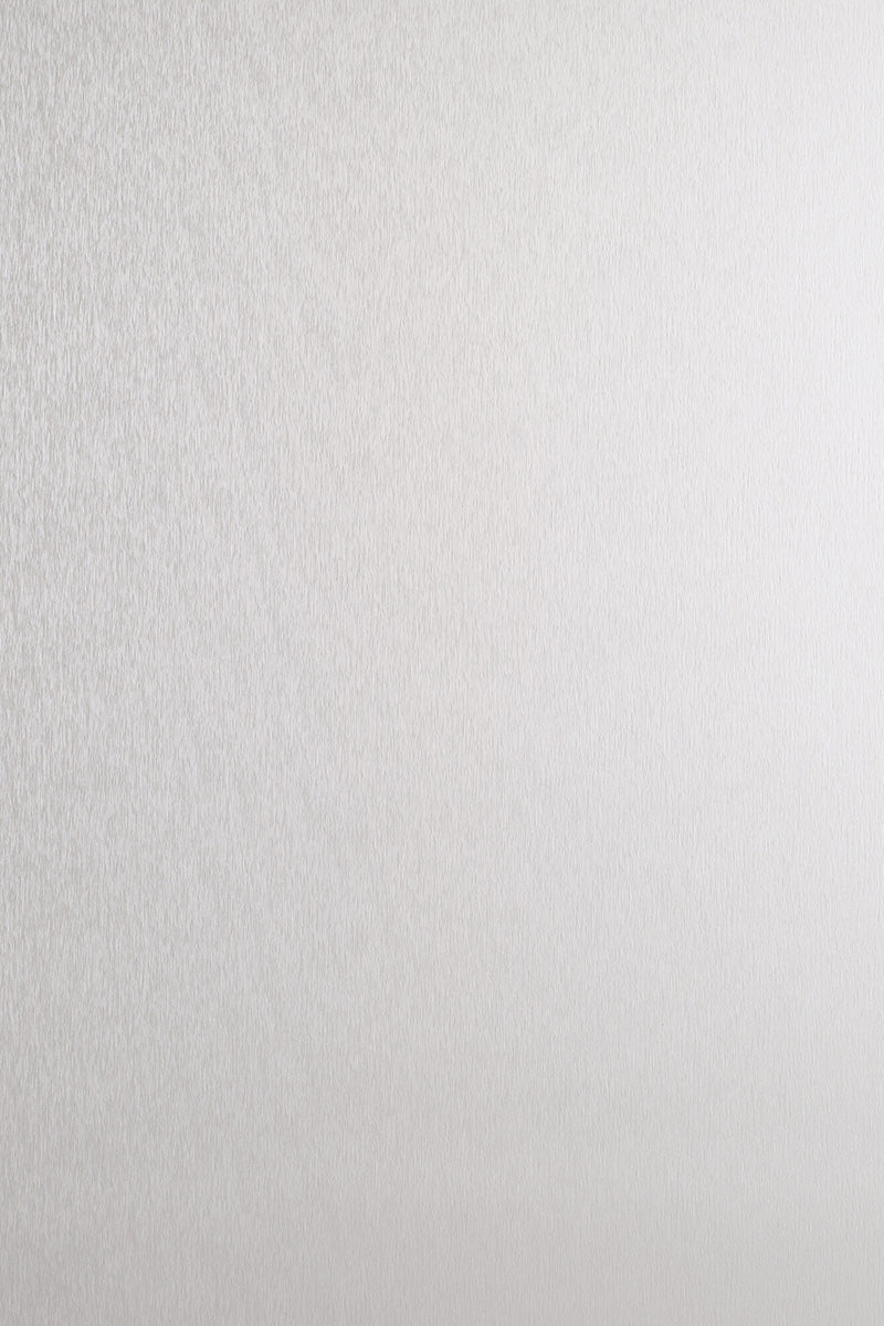 Sample 2.5mm Altro Whiterock Wall Design - Brushed Steel