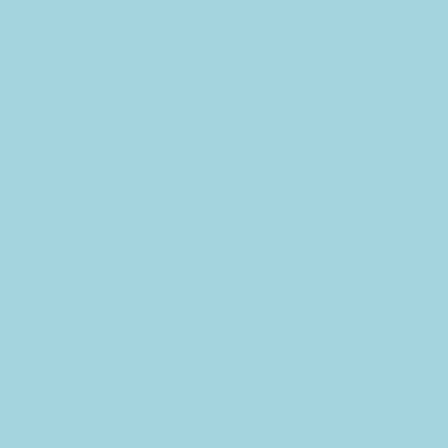 2.5mm Mint Satin Sheet